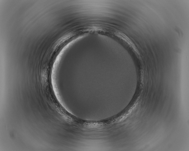 X0000111440826200908241142