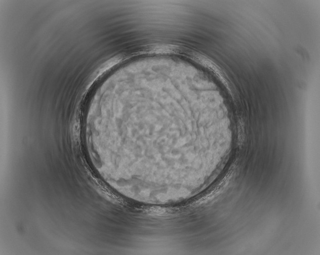 X0000111440827200908241142