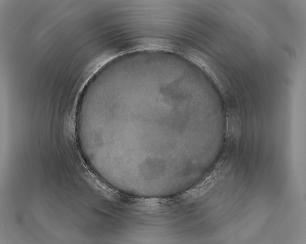 X0000111440828200908241142