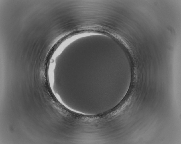 X0000111440830200908241142