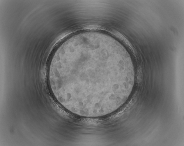 X0000111440831200908241142