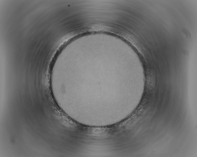 X0000111440832200908241142