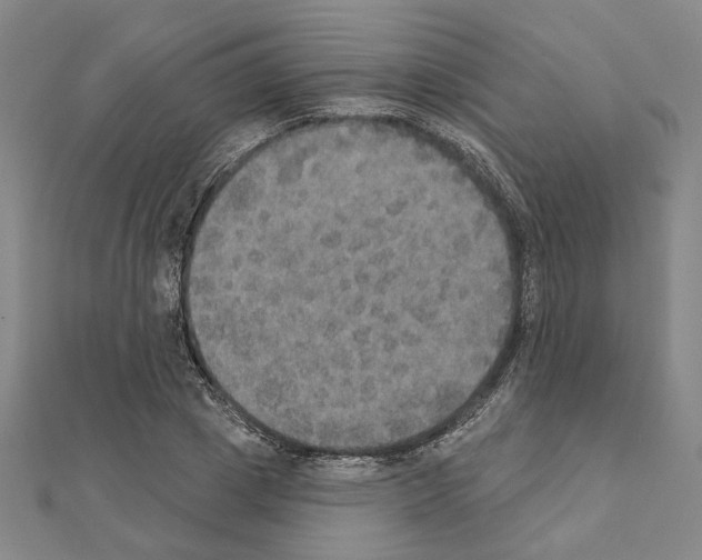 X0000111440833200908241142