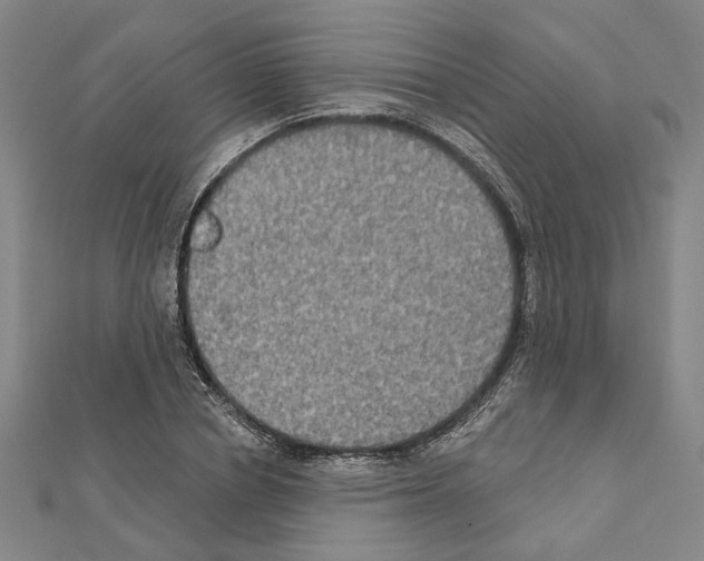 X0000111440834200908241142