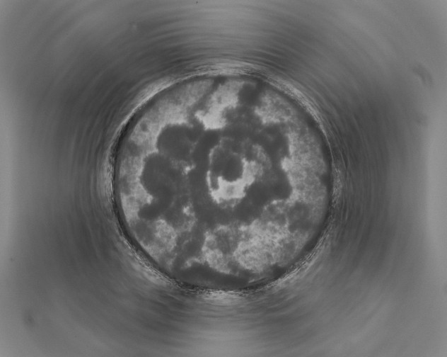 X0000111440835200908241142
