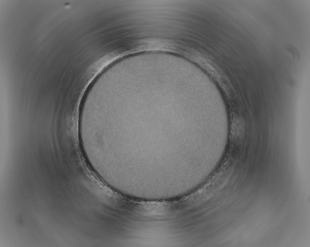 X0000111440836200908241142