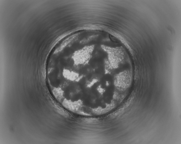 X0000111440837200908241142