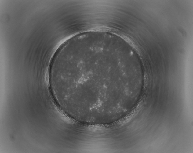 X0000111440838200908241142