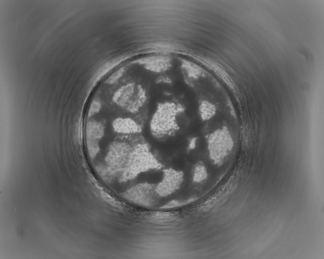 X0000111440839200908241142