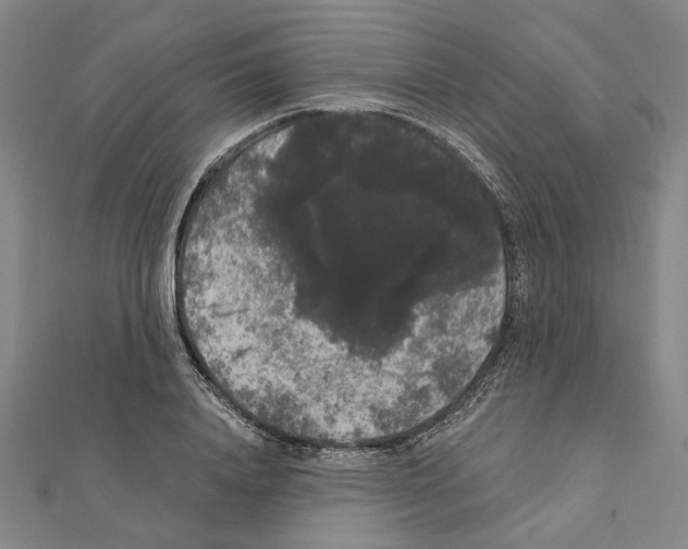 X0000111440840200908241142