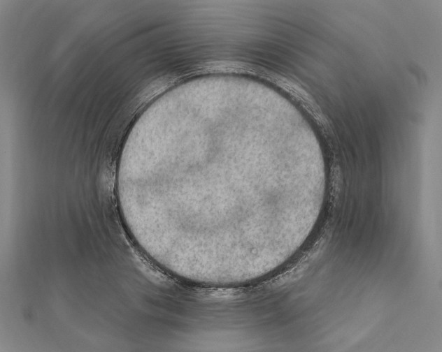 X0000111440841200908241142