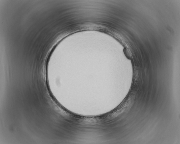 X0000111440843200908241142