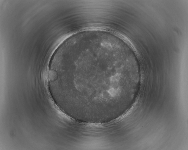 X0000111440844200908241142