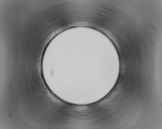 X0000111440845200908241142