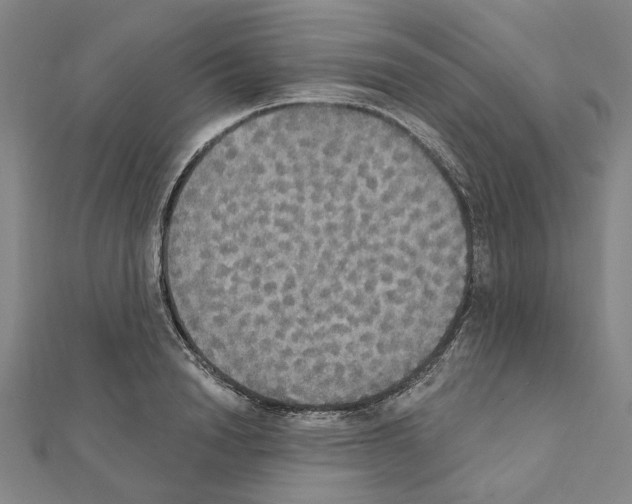X0000111440846200908241142