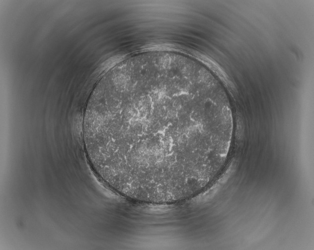 X0000111440849200908241142