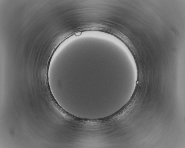 X0000111440850200908241142