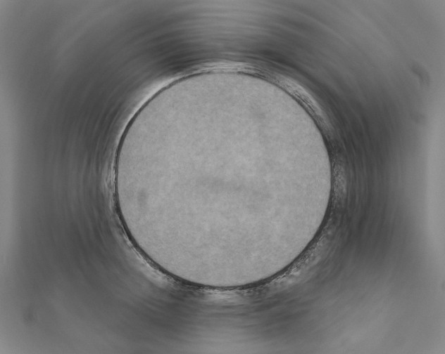 X0000111440852200908241142