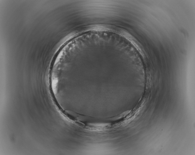 X0000111440853200908241142