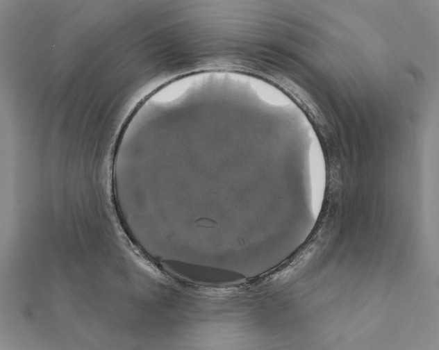 X0000111440854200908241142