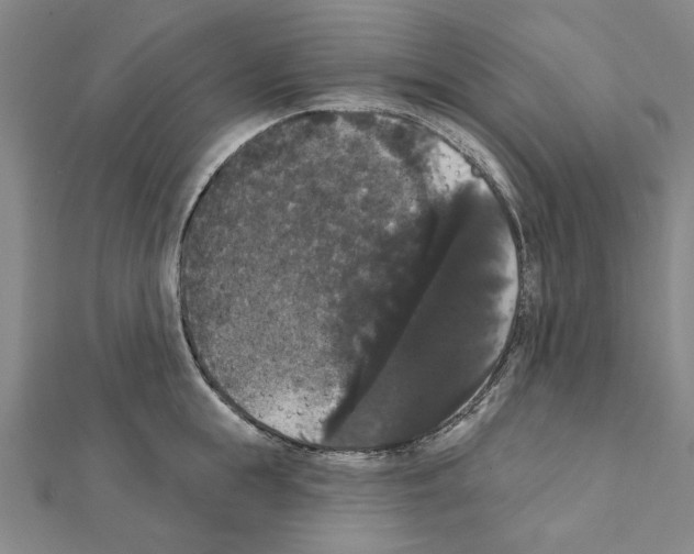 X0000111440855200908241142
