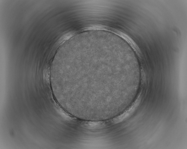 X0000111440857200908241142