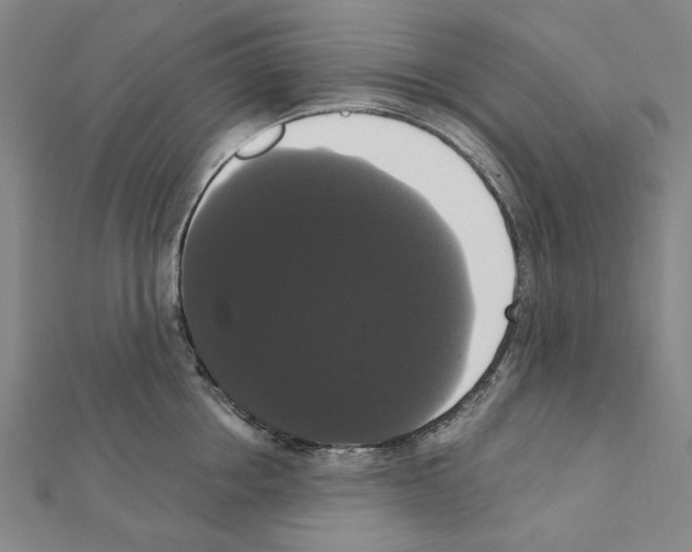 X0000111440858200908241142