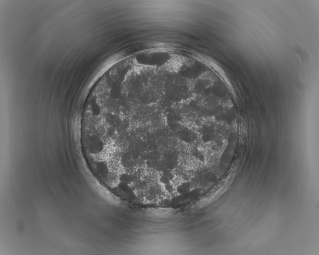 X0000111440859200908241142