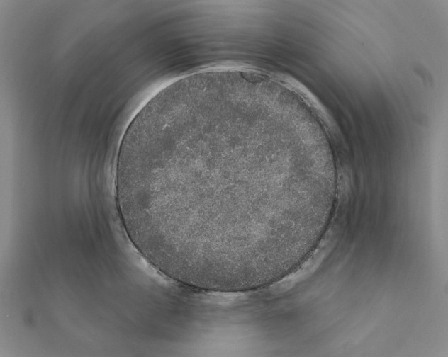 X0000111440860200908241142