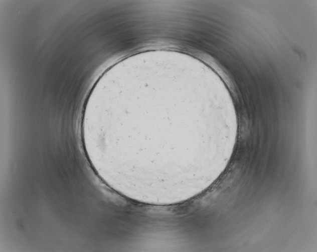 X0000111440861200908241142