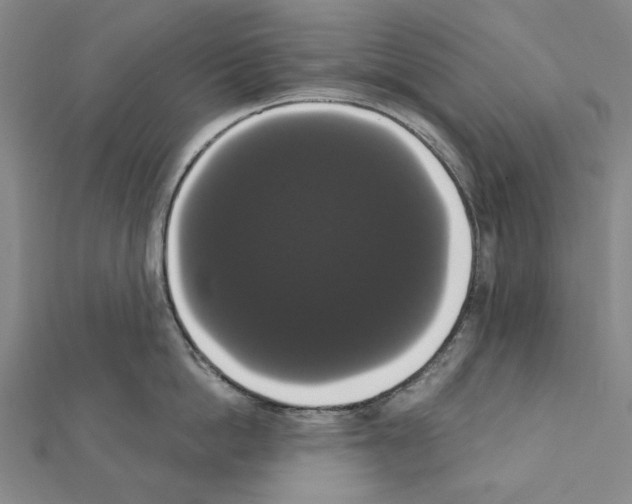 X0000111440862200908241142