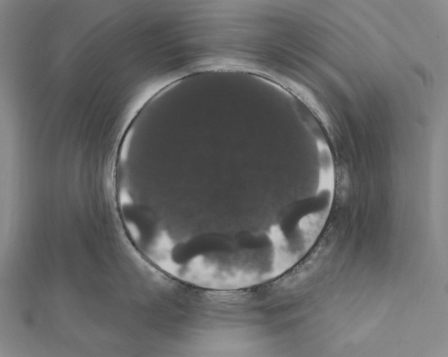 X0000111440863200908241142