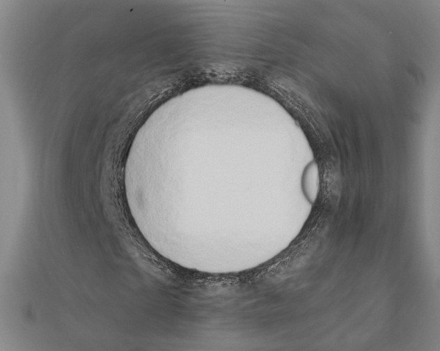 X0000111440865200908241142