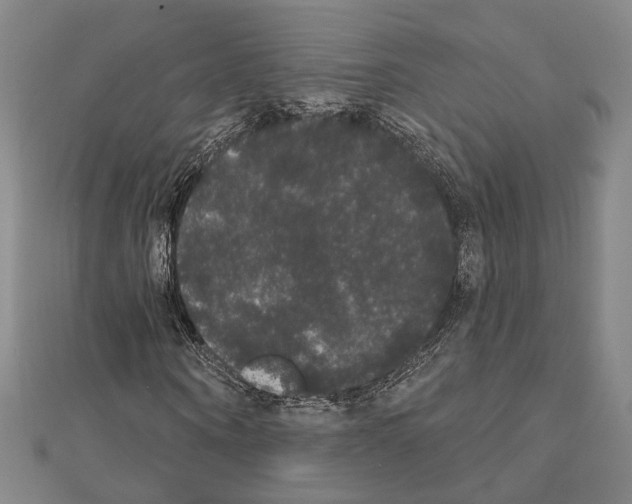 X0000111440866200908241142