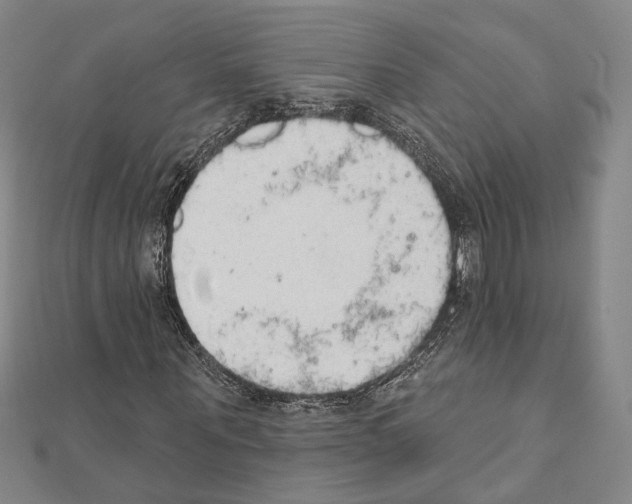 X0000111440867200908241142