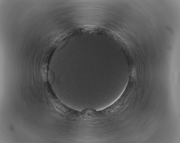 X0000111440868200908241142