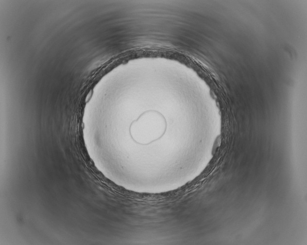 X0000111440869200908241142