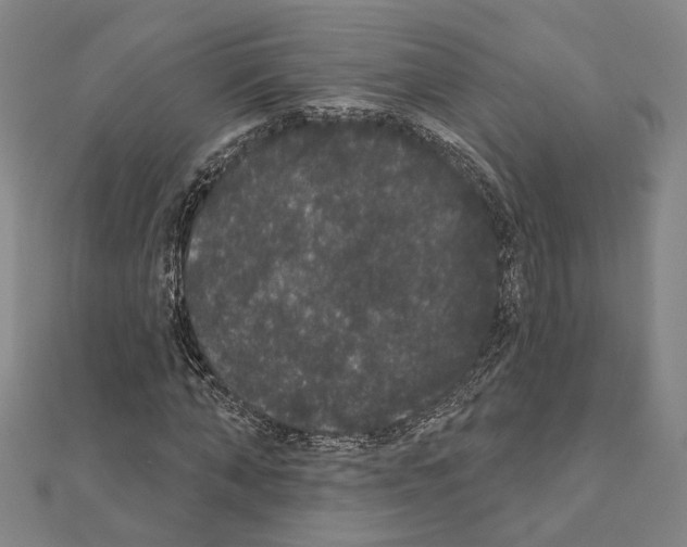 X0000111440870200908241142