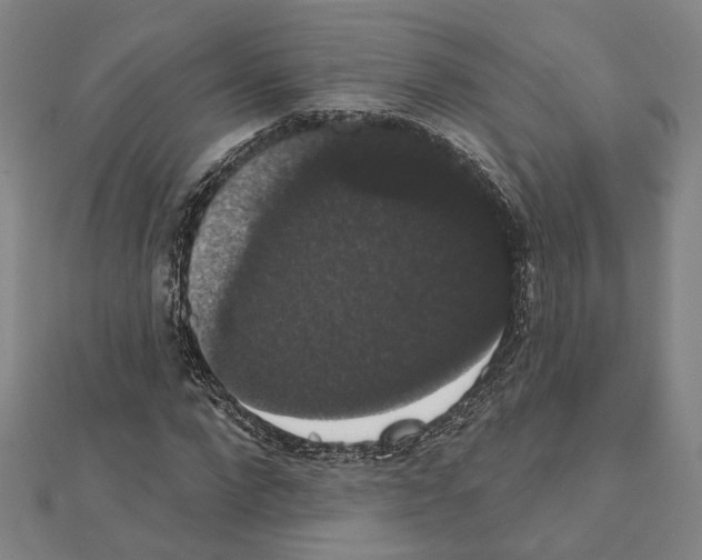 X0000111440872200908241142