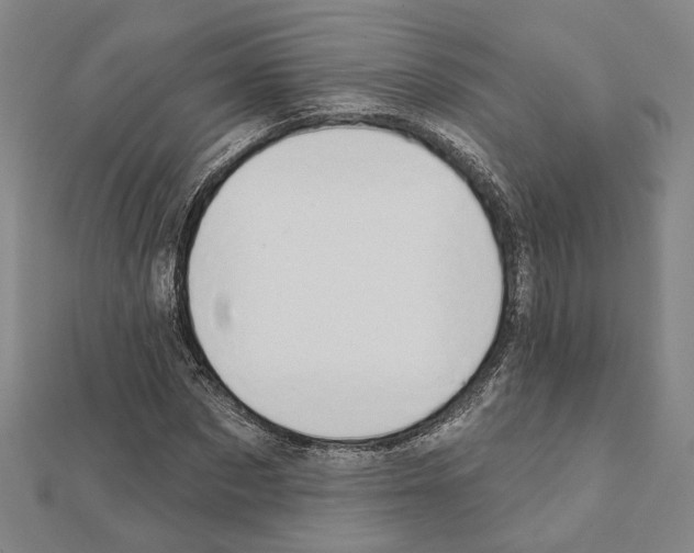 X0000111440873200908241142
