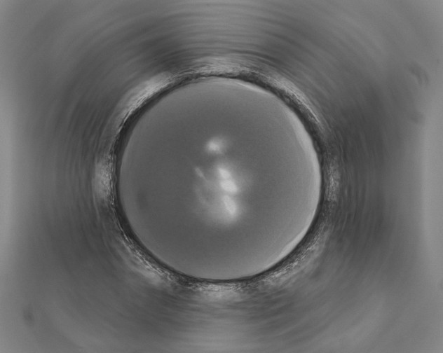 X0000111440874200908241142