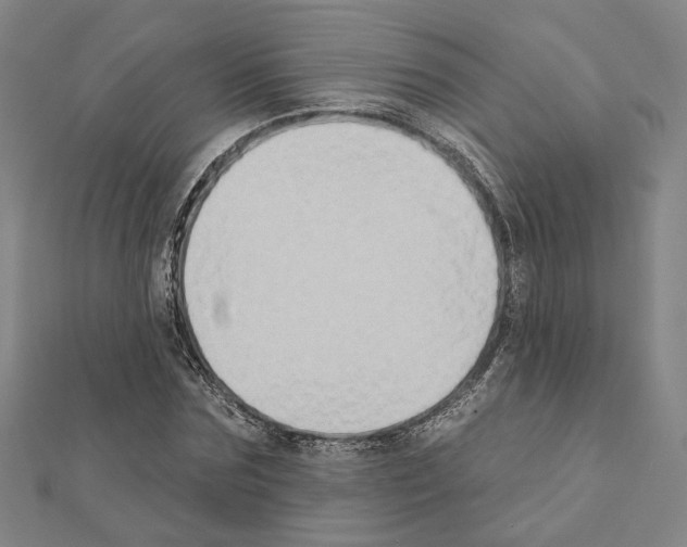 X0000111440875200908241142