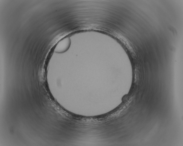 X0000111440876200908241142
