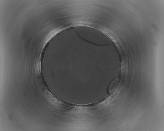 X0000111440877200908241142