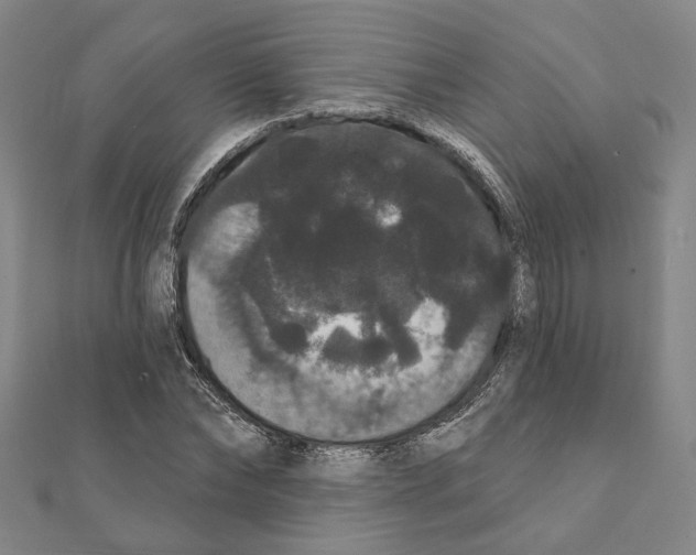 X0000111440878200908241141