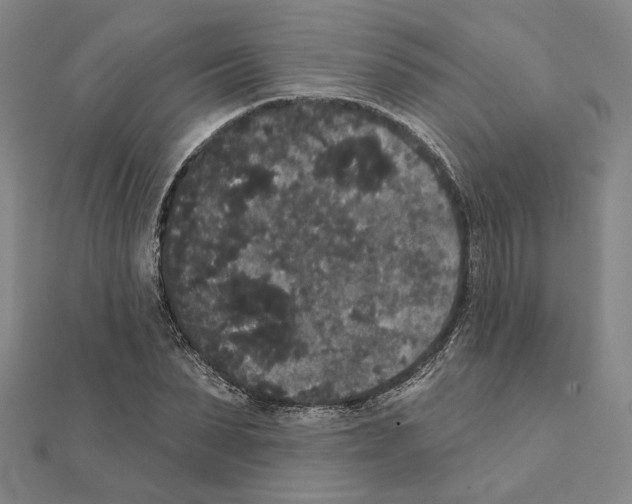 X0000111440879200908241141