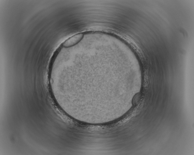 X0000111440880200908241141