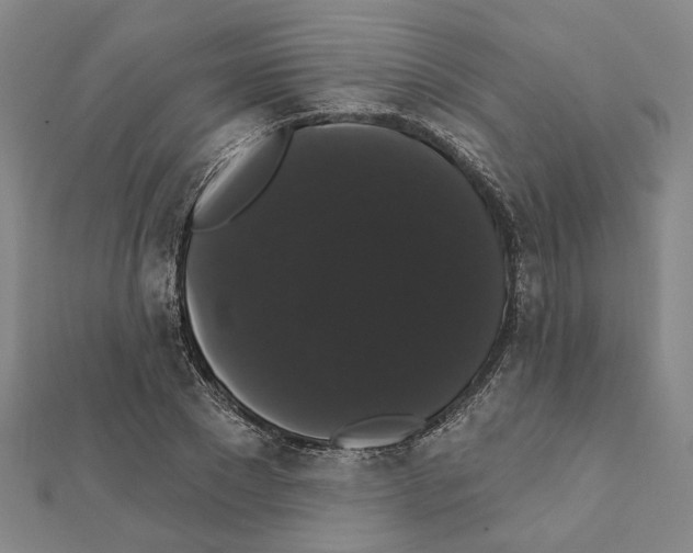 X0000111440881200908241141