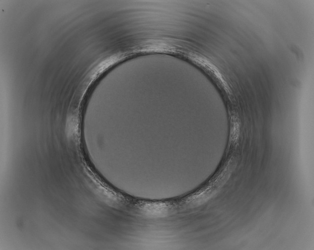 X0000111440882200908241141