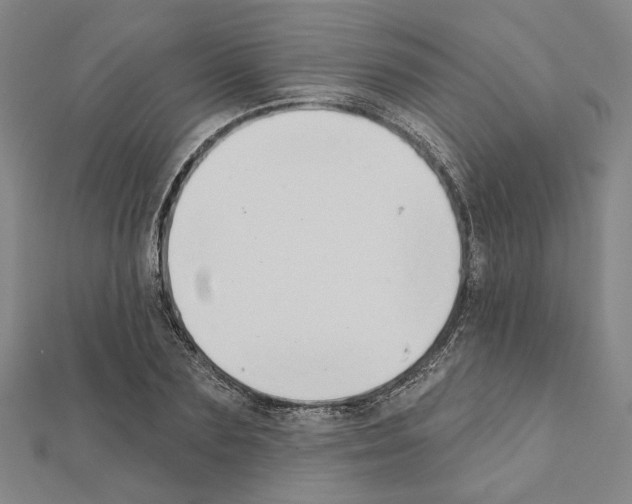 X0000111440883200908241141